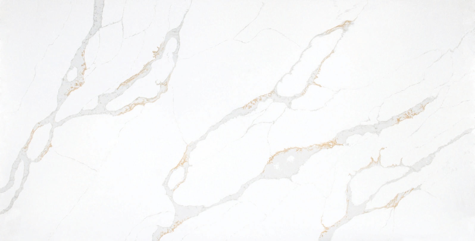 Calacatta New Gold slab sample